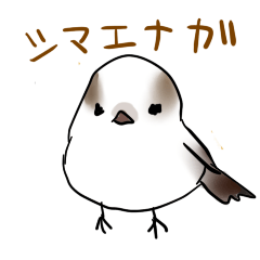かわいい鳥 シマエナガスタンプ Lineスタンプの人気のランキングデータベース Stampdb
