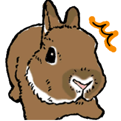 うさぎのしぐさ図鑑 Lineクリエイターズスタンプ Stamplist うさぎのしぐさ図鑑 Lineクリエイターズスタンプ Stamplist