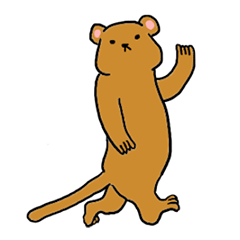 マングースの森 Lineクリエイターズスタンプ Stamplist マングースの森 Lineクリエイターズスタンプ Stamplist