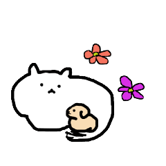 RRƃ