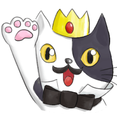 Cat lover!