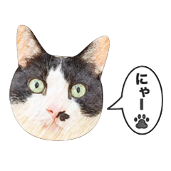 n`L̂ނ