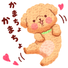かまちょトイプードル Lineスタンプの人気のランキングデータベース Stampdb