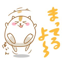 ۂۂnX^[