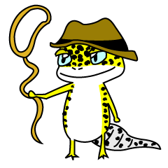 JE{[CQbR[(=qEgJQhL)