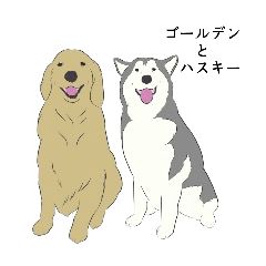 S[fƃnXL[B