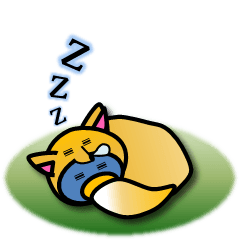 y^݂𒅂 Lcl