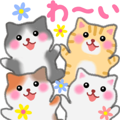 動く 4匹のぽちゃりねこ Lineスタンプの人気のランキングデータベース Stampdb