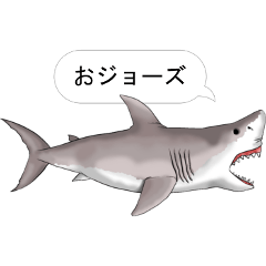 お魚だじゃれスタンプ Lineスタンプの人気のランキングデータベース Stampdb お魚だじゃれスタンプ Lineスタンプの人気のランキングデータベース Stampdb