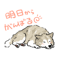 񂱂Ɠ
