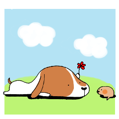 ҂̂