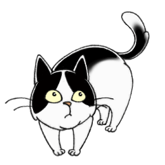 ق̂ڂ̂˂2