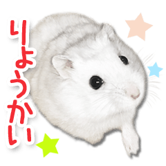 nX^[ӂ