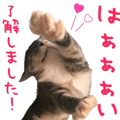 LɂEɂEɂI 