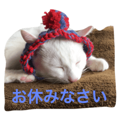 lR䂫̎ʐ^X^v
