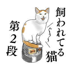 ĂL 2i