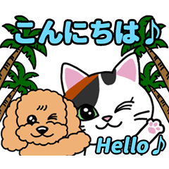 Ȃށ􂭁[ɂ̏ÓDays
