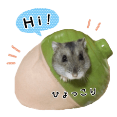 WKAnX^[̂т4