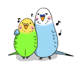Parakeet's my home! sticker #161463
