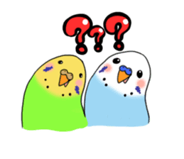 Parakeet's my home! sticker #161470