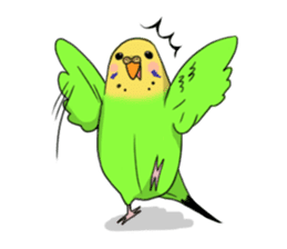 Parakeet's my home! sticker #161473