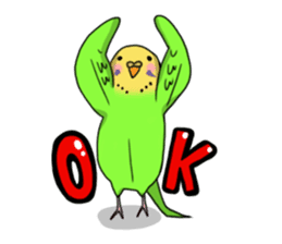 Parakeet's my home! sticker #161474