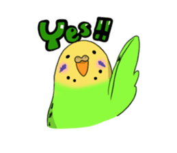 Parakeet's my home! sticker #161477