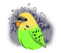 Parakeet's my home! sticker #161479