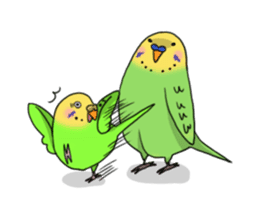 Parakeet's my home! sticker #161480