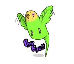 Parakeet's my home! sticker #161482