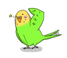 Parakeet's my home! sticker #161483