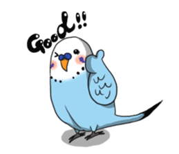 Parakeet's my home! sticker #161484