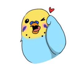 Parakeet's my home! sticker #161485