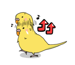 Parakeet's my home! sticker #161486