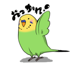 Parakeet's my home! sticker #161488