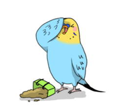 Parakeet's my home! sticker #161489