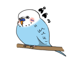 Parakeet's my home! sticker #161491