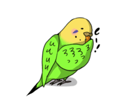 Parakeet's my home! sticker #161492