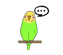 Parakeet's my home! sticker #161493