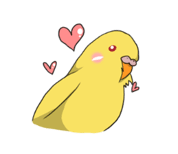 Parakeet's my home! sticker #161498