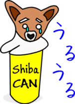 Shiba CAN & Tora CAN 1st sticker #213506