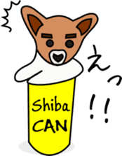 Shiba CAN & Tora CAN 1st sticker #213526