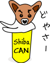 Shiba CAN & Tora CAN 1st sticker #213528