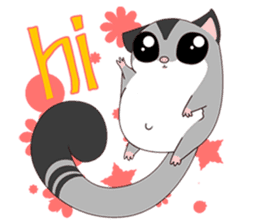 Sugar Glider sticker #221898