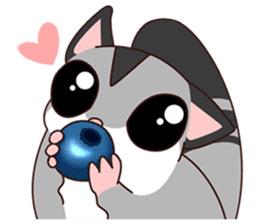 Sugar Glider sticker #221906