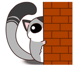 Sugar Glider sticker #221919