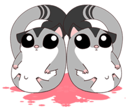 Sugar Glider sticker #221924