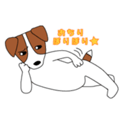 Jack Russell Terriers sticker #222430