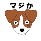 Jack Russell Terriers sticker #222440