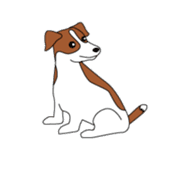 Jack Russell Terriers sticker #222454